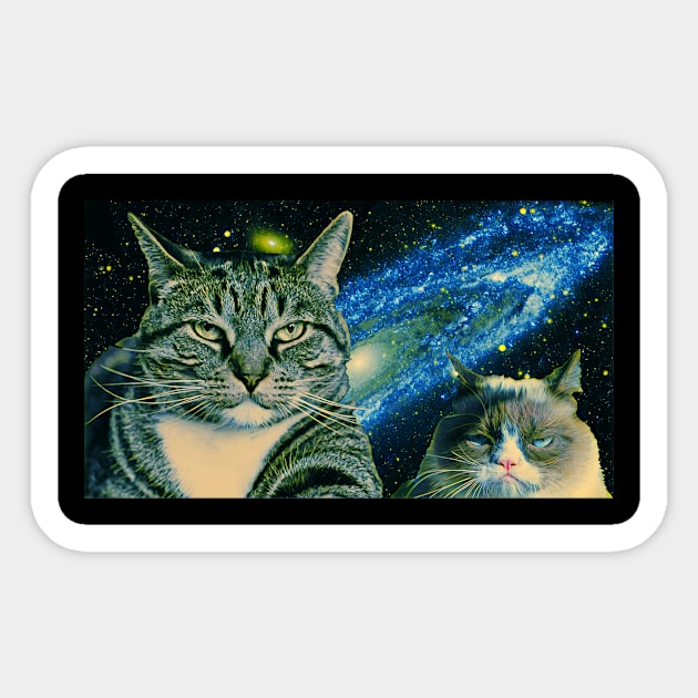 cat universe shirt episode 10 Sticker by Serious_cosmic_cats 